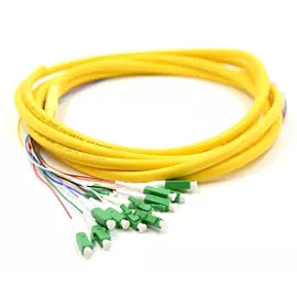  Czvz 12 Core LC/APC Distribution Optical Fiber Pigtail, Singlemode Fiber Optic Pigtail
            