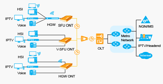 FTTH Typical Networking